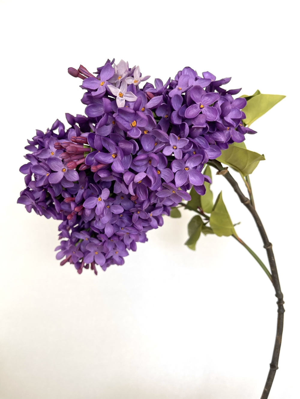 Artificial real touch purple Lilac