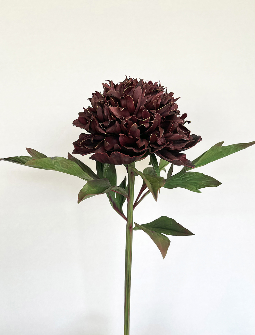 Artificial real touch burgundy Bob Peony