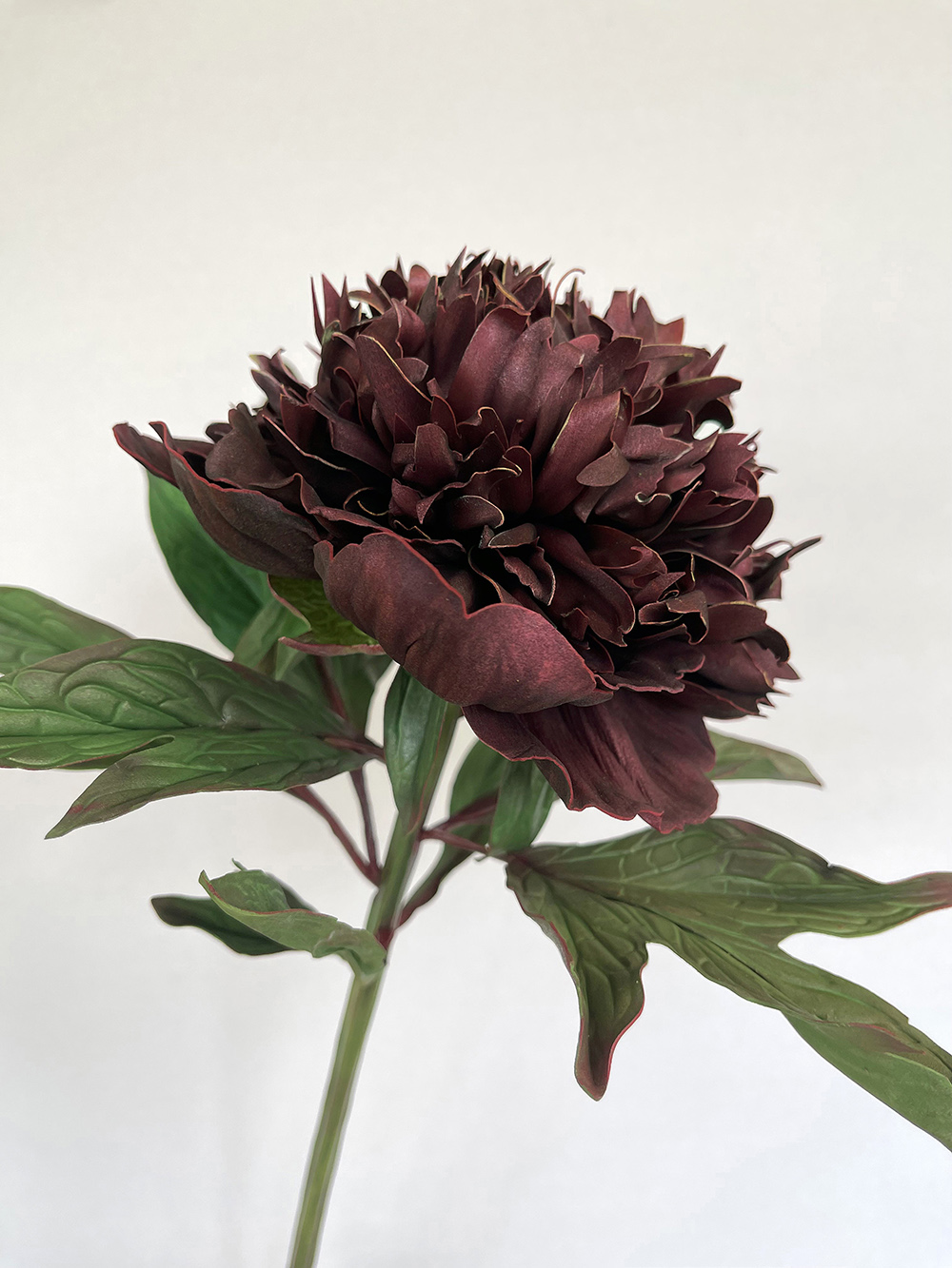 Artificial real touch burgundy Bob Peony