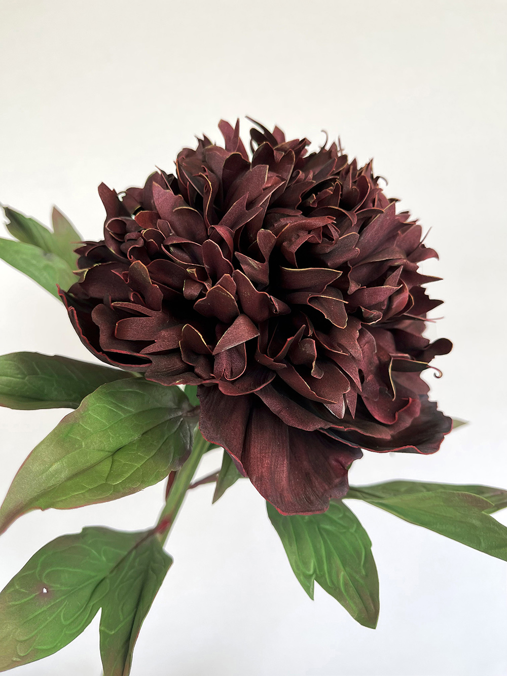Artificial real touch burgundy Bob Peony