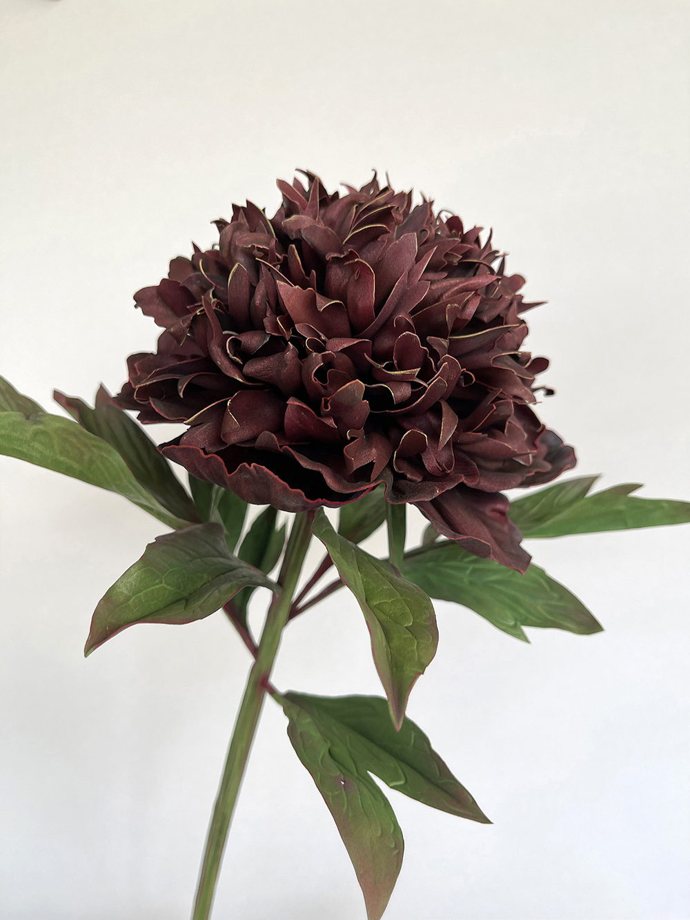 Artificial real touch burgundy Bob Peony