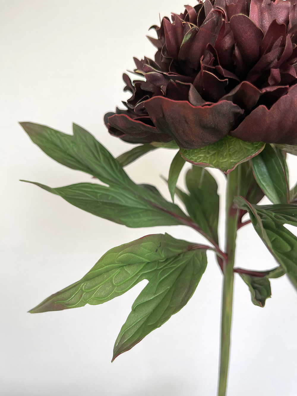 Artificial real touch burgundy Bob Peony