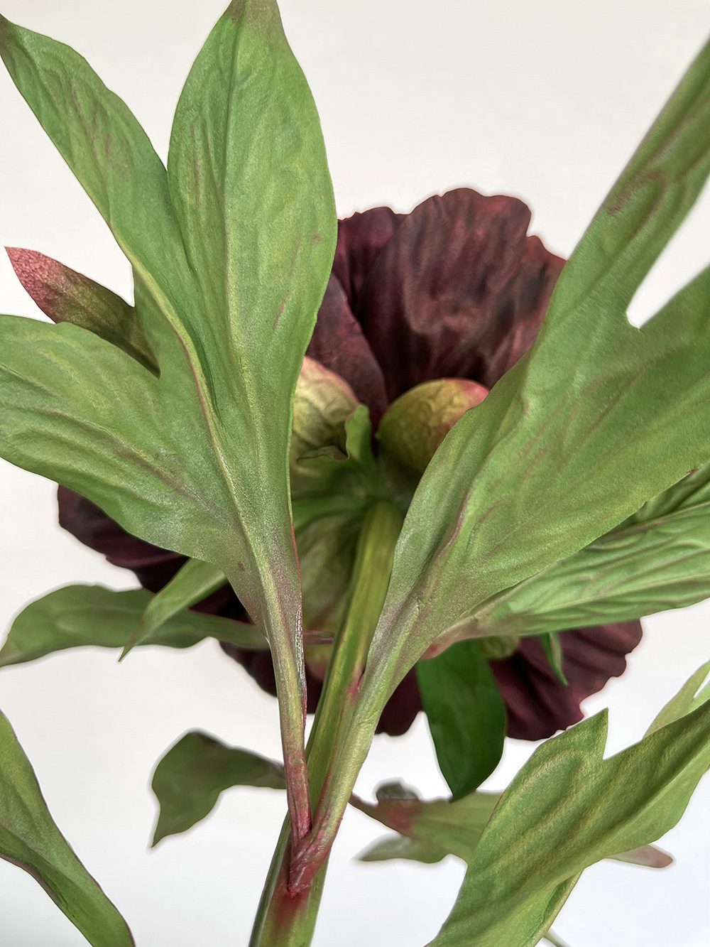 Artificial real touch burgundy Bob Peony