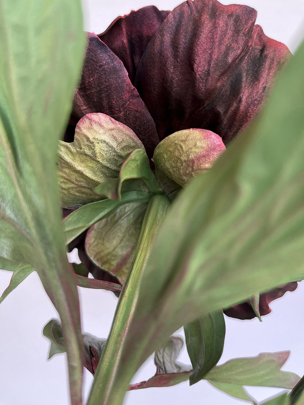 Artificial real touch burgundy Bob Peony