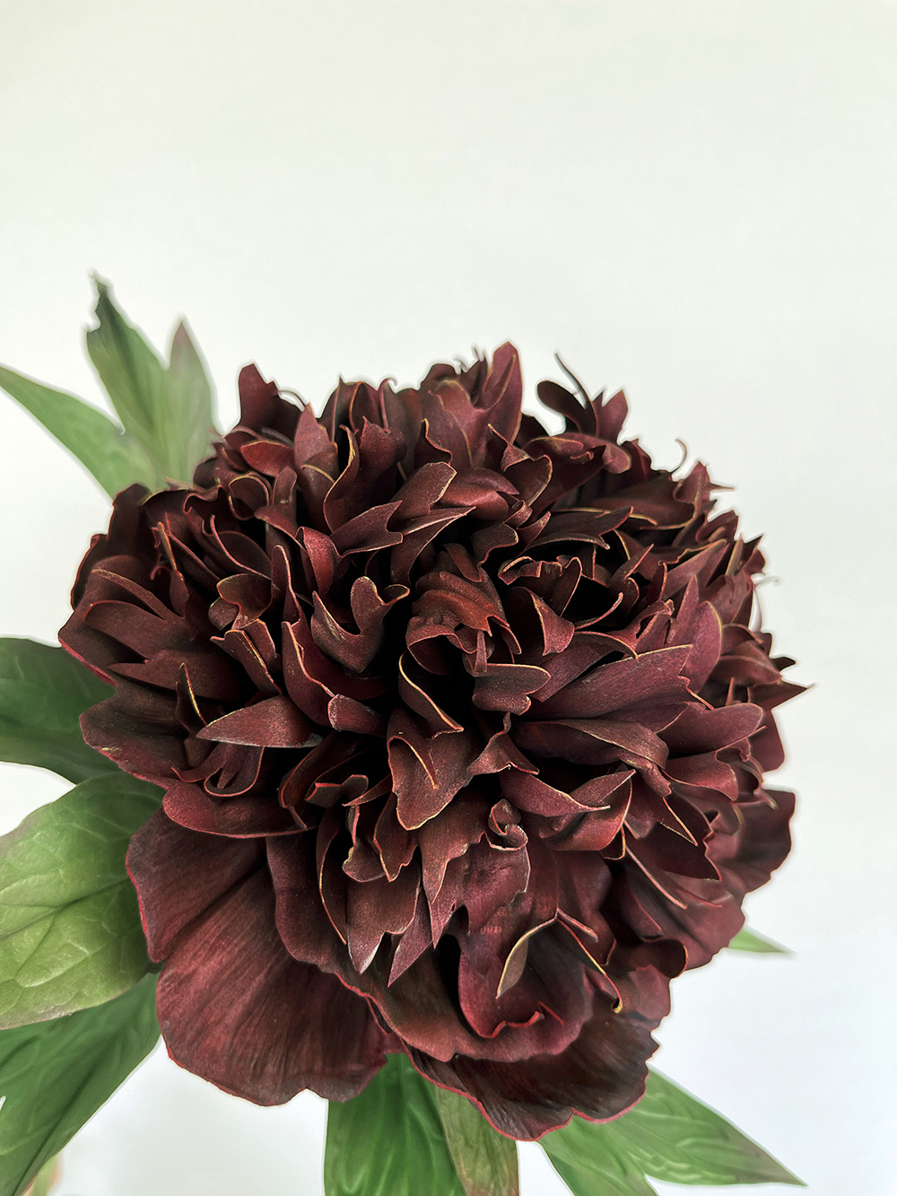 Artificial real touch burgundy Bob Peony