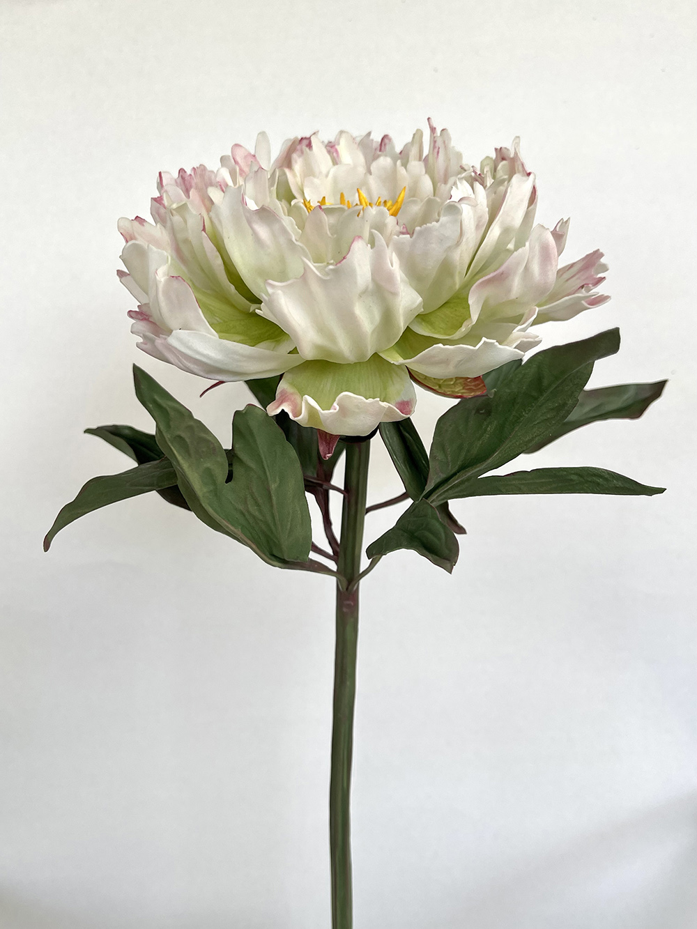 Artificial real touch Green Lotus peony