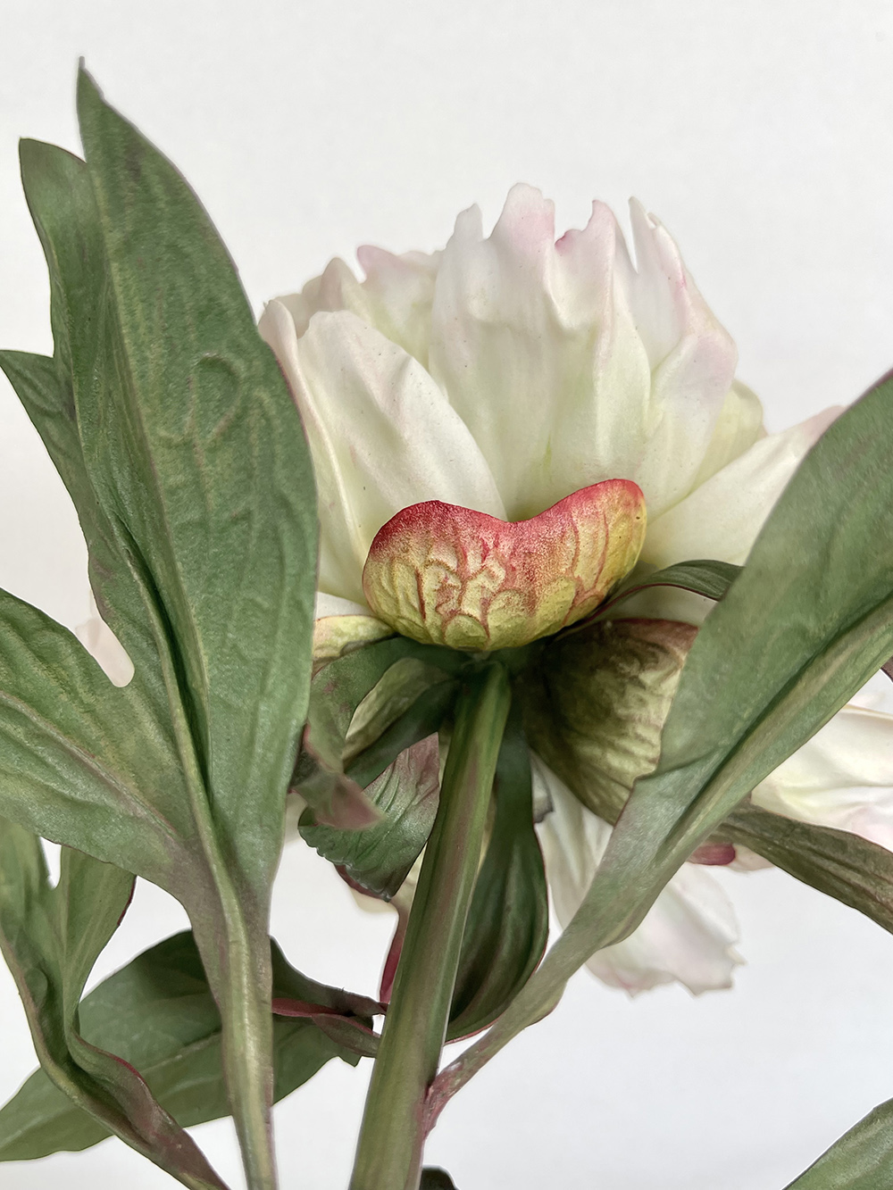 Artificial real touch Green Lotus peony
