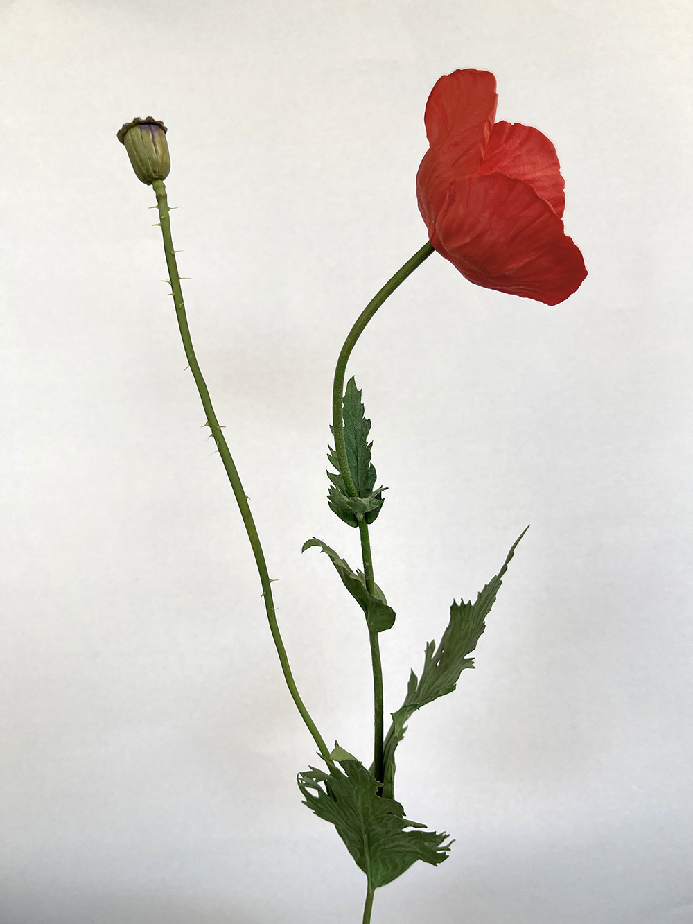 Artificial red Poppy with seed head