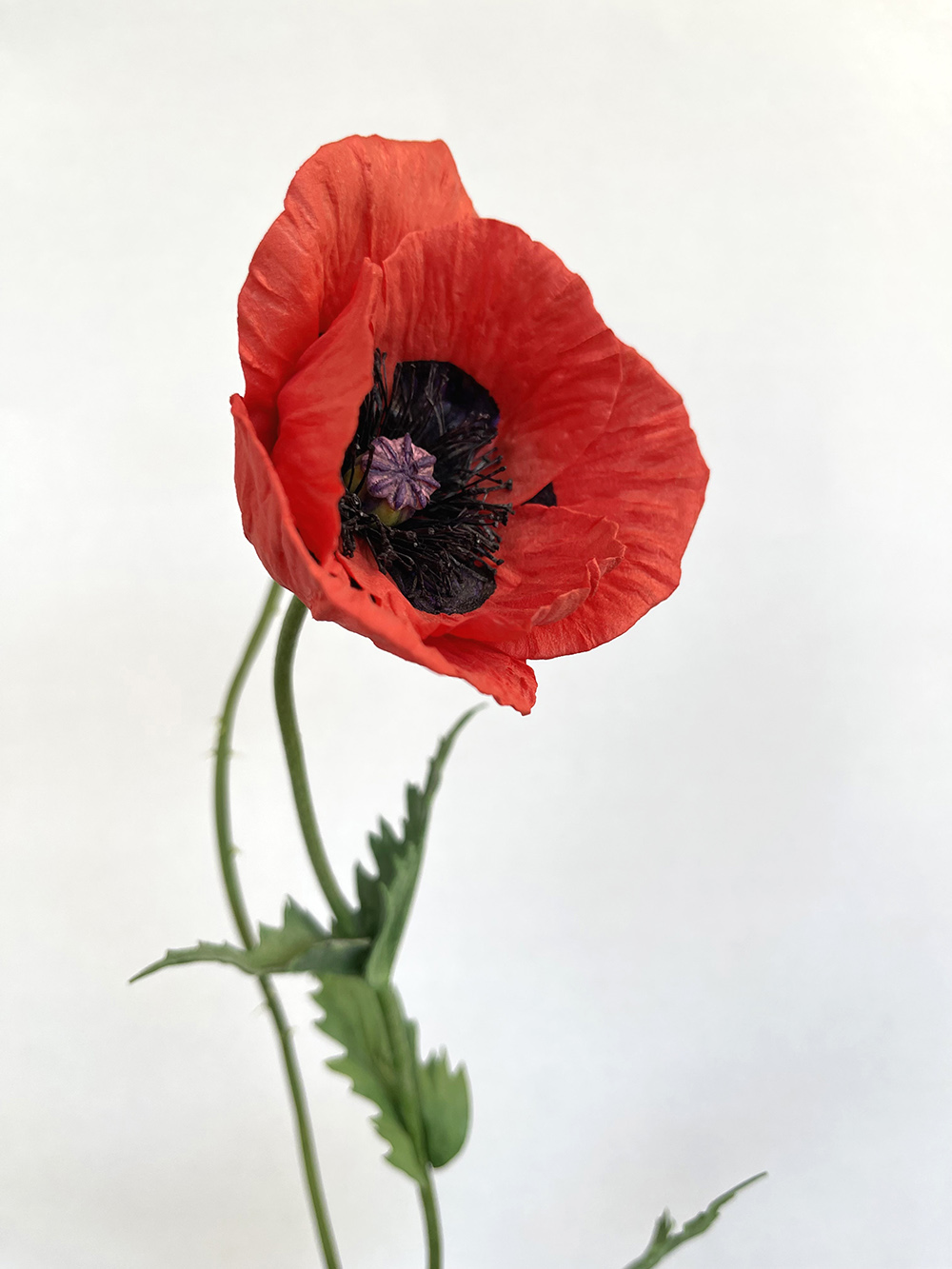 Artificial red Poppy with seed head