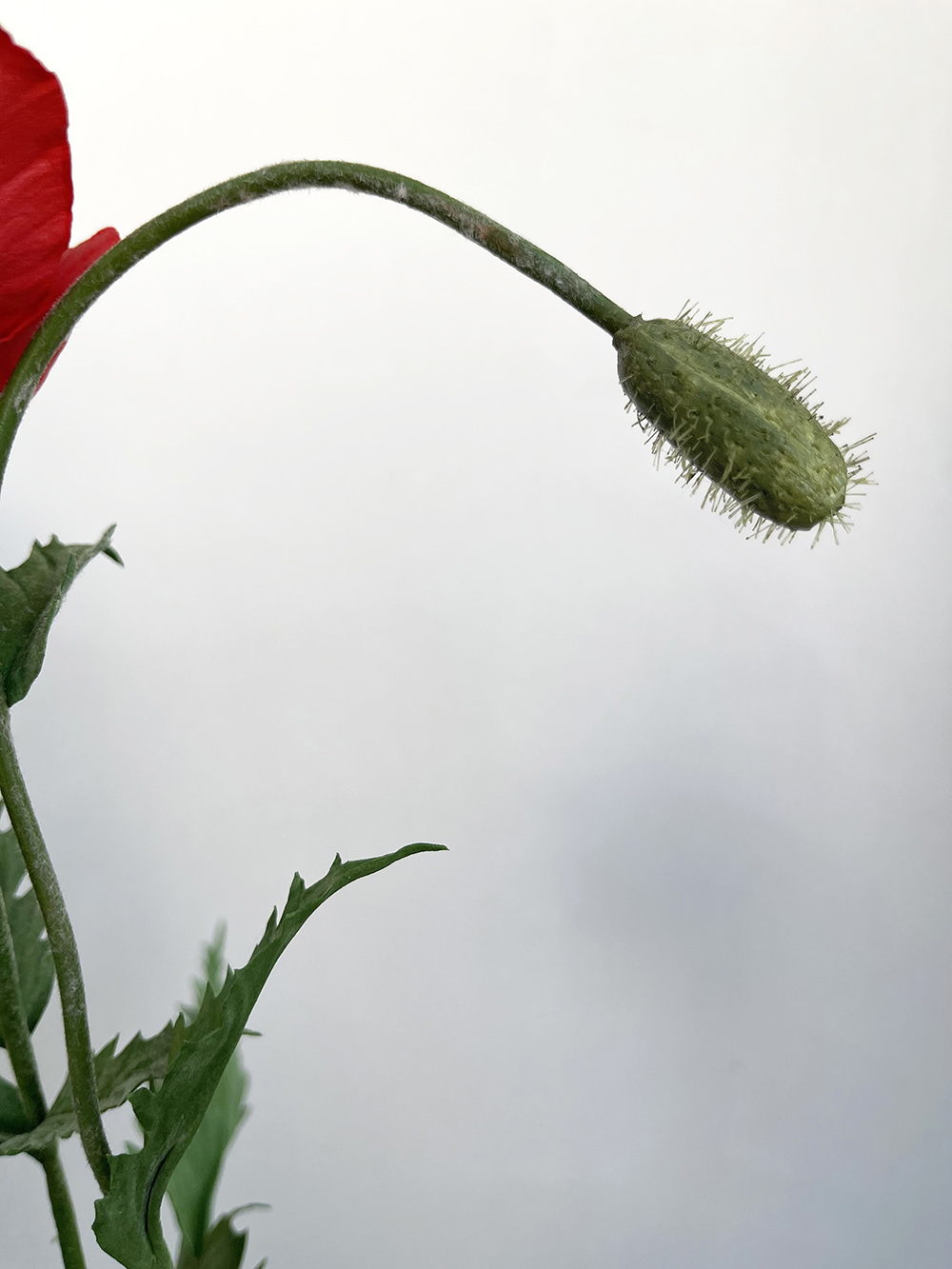 Artificial red Poppy with bud