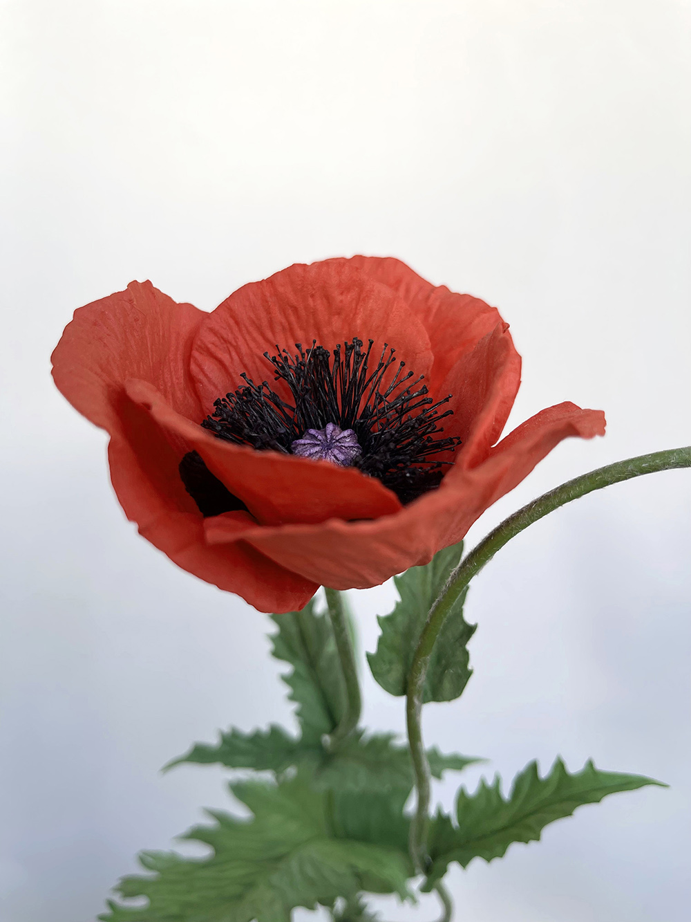 Artificial red Poppy with seed head