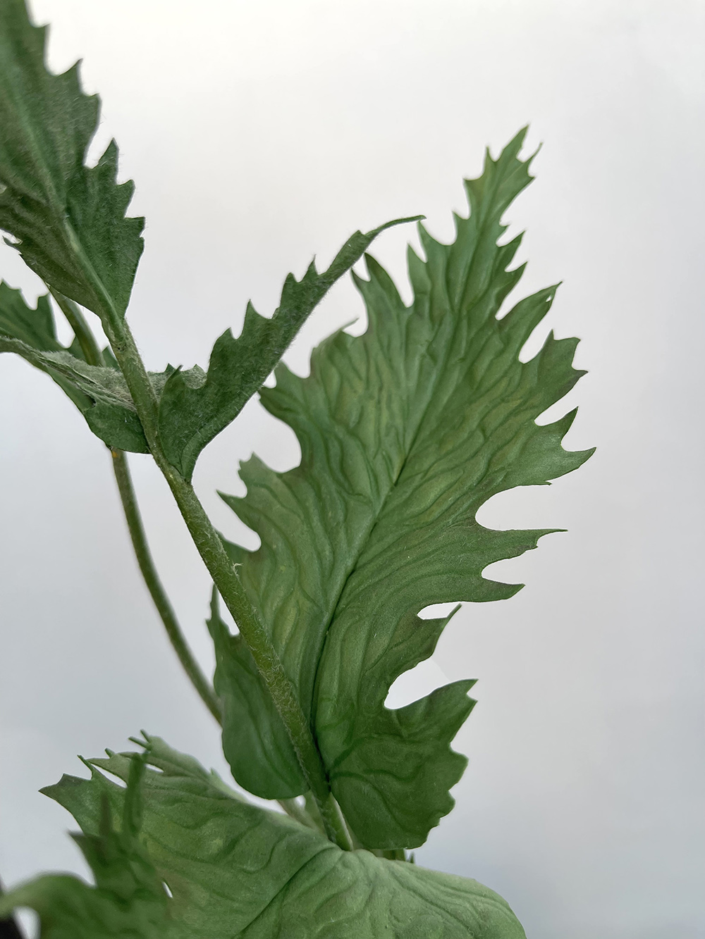 Artificial red Poppy with bud