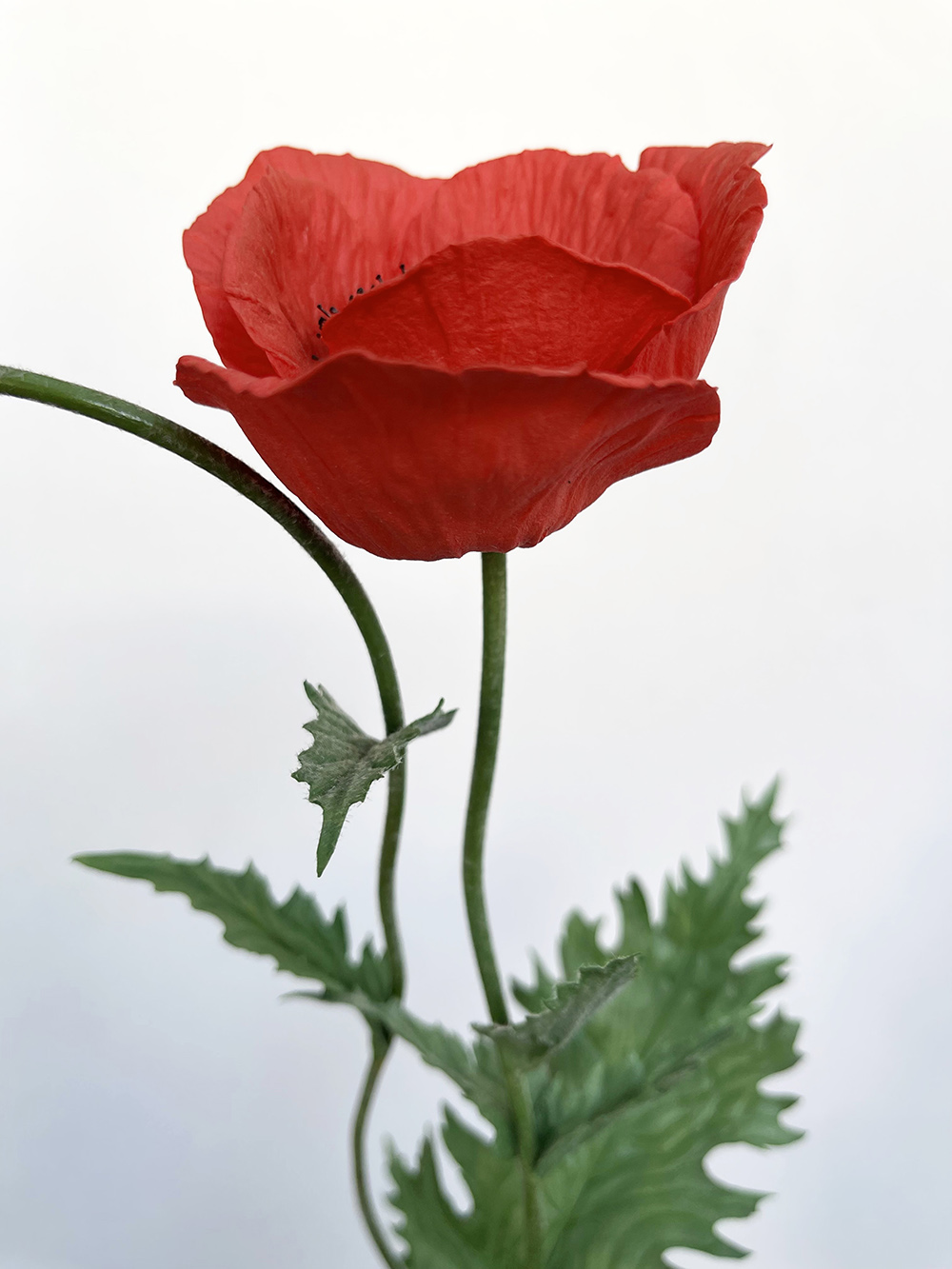 Artificial red Poppy with seed head