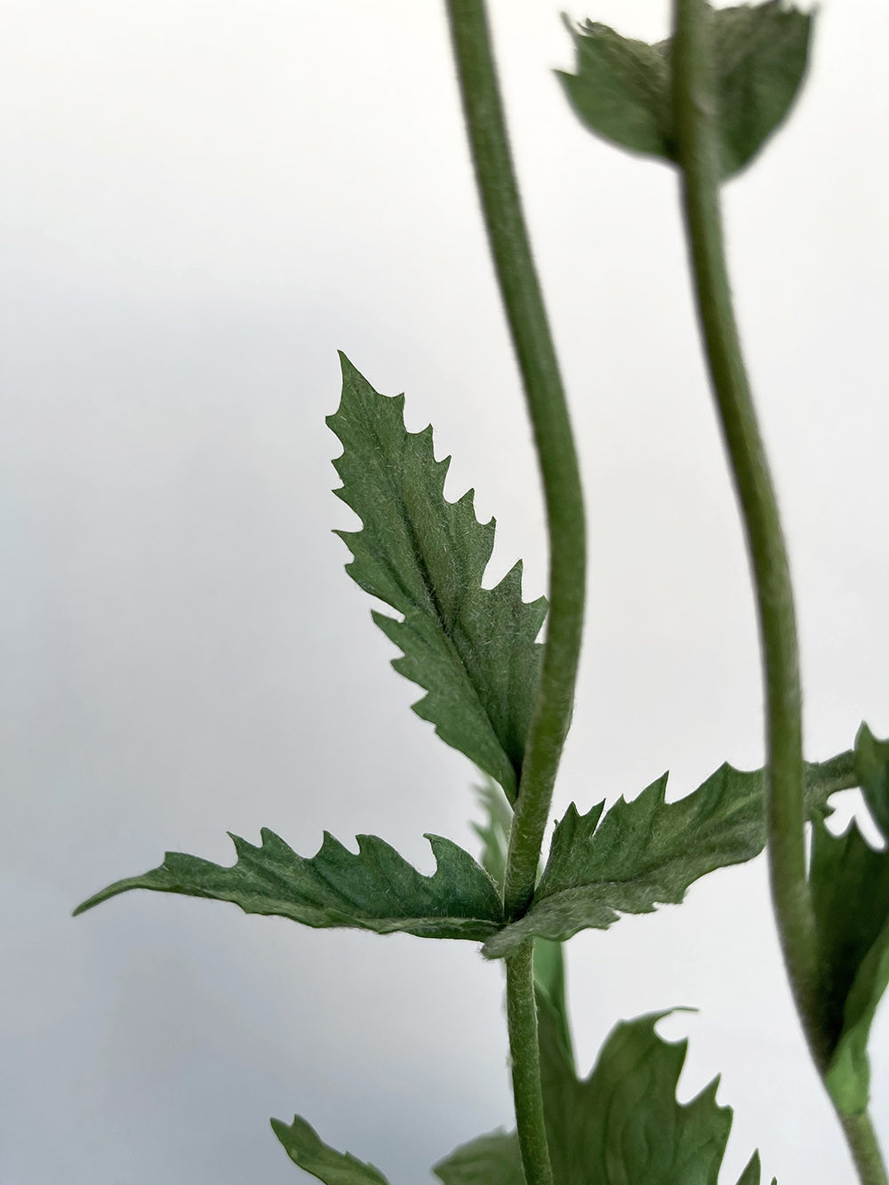 Artificial red Poppy with bud