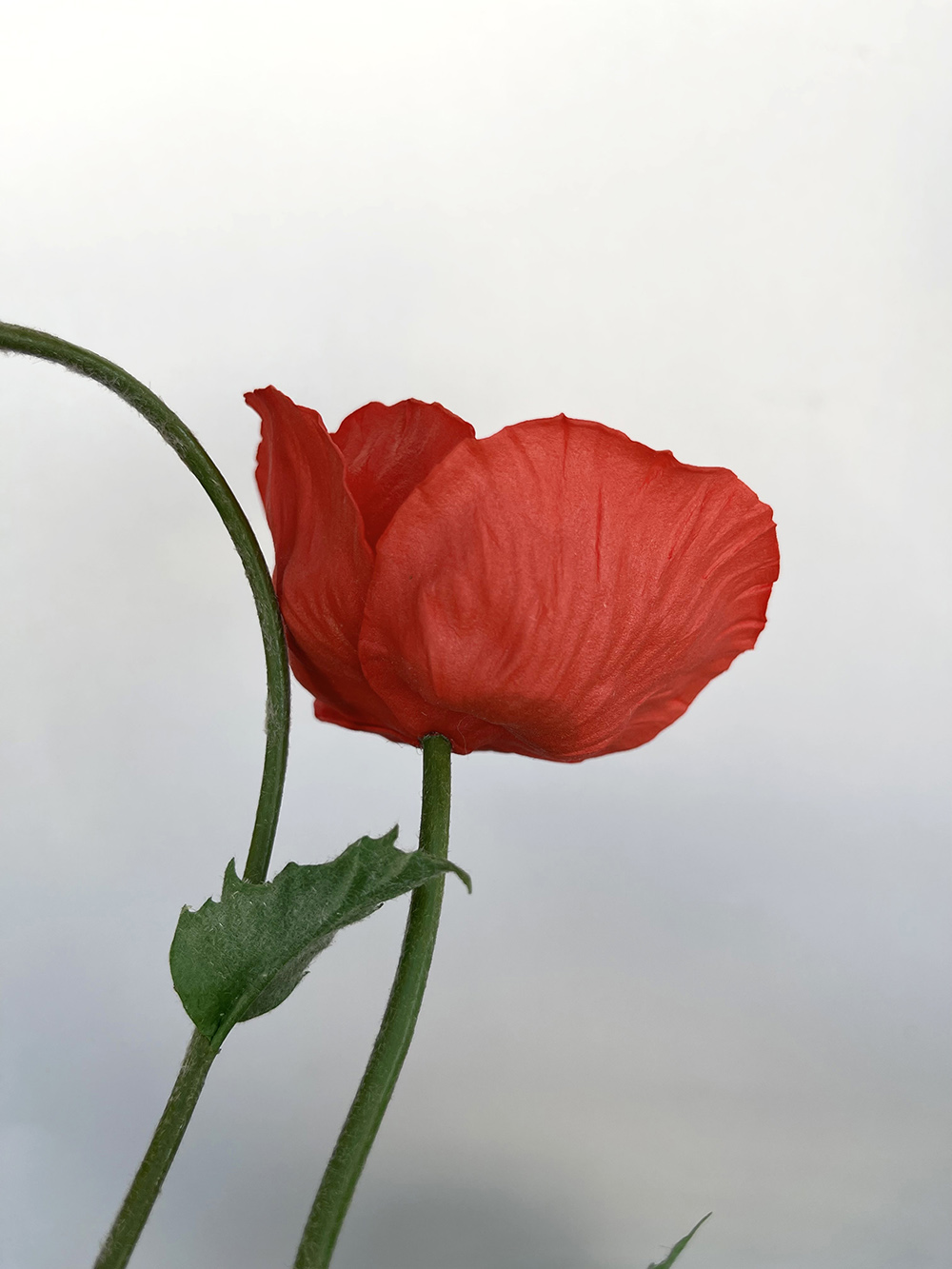 Artificial red Poppy with bud