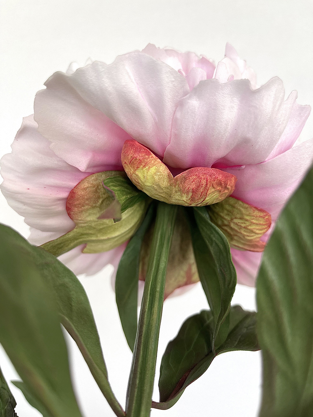 Artificial real touch Sarah Bernhardt pink peony