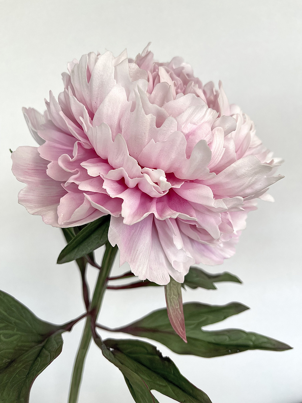 Artificial real touch Sarah Bernhardt pink peony