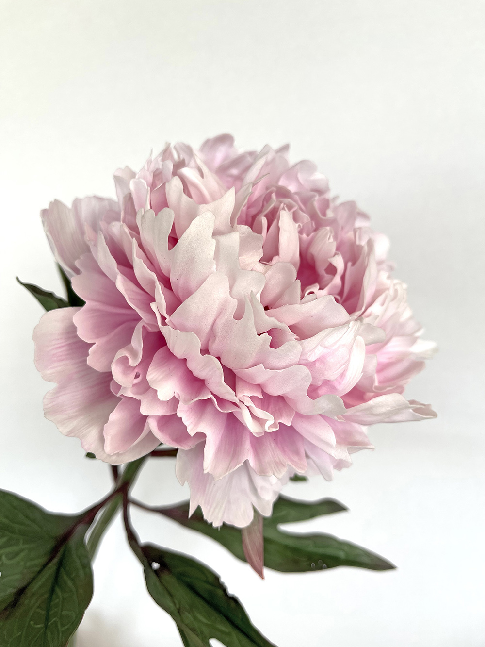 Artificial real touch Sarah Bernhardt pink peony