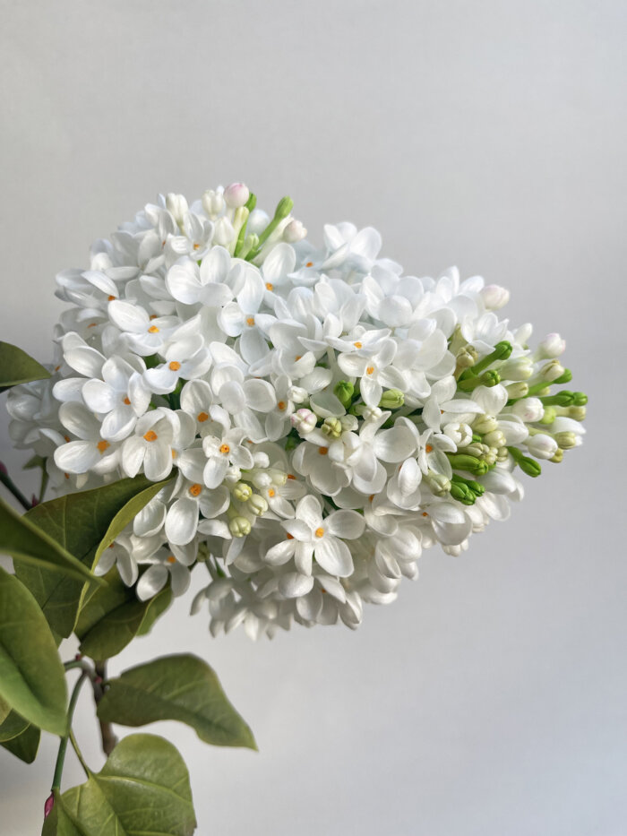 artificial-white-real-touch-lilac-10
